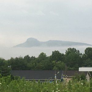 Meet your Posher, Tabitha